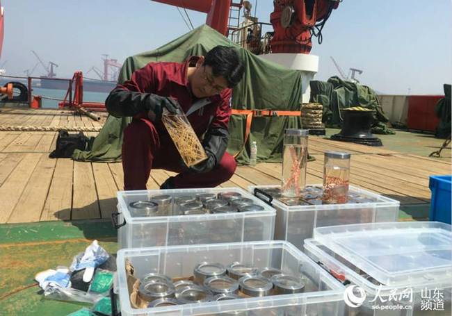 ˴λȡ˾ͺʹ͵ıƷ356