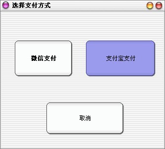 秘奥软件支付方式