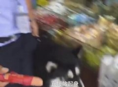 ̫Ȱ˹Ȯвյ ûȳ㶨