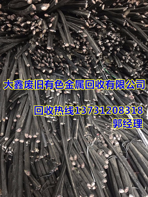 Ͽ鱦»[ѹ»]