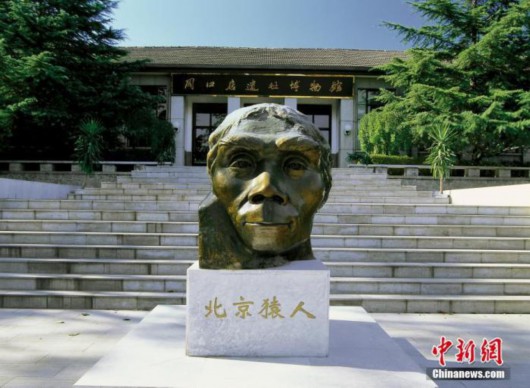 北京猿人头盖骨发现90周年:丢失的化石在哪里?