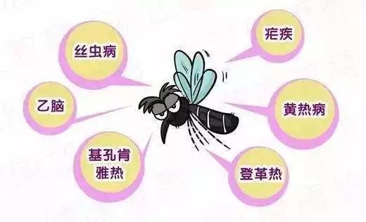 ڷЩҪע