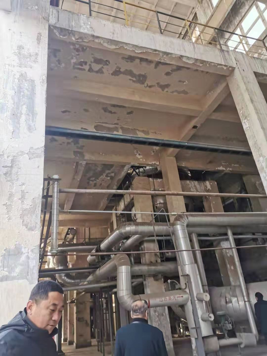 չ豸а̸Ч