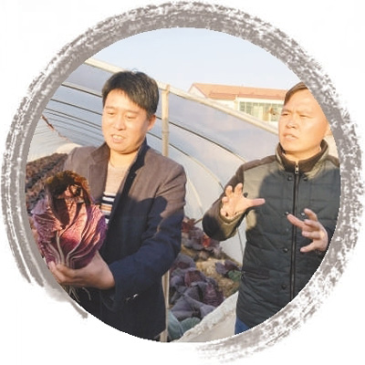 河南虞城:过去打工热今现“城归”潮