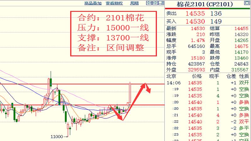 19各品种大行情走势揣摩
