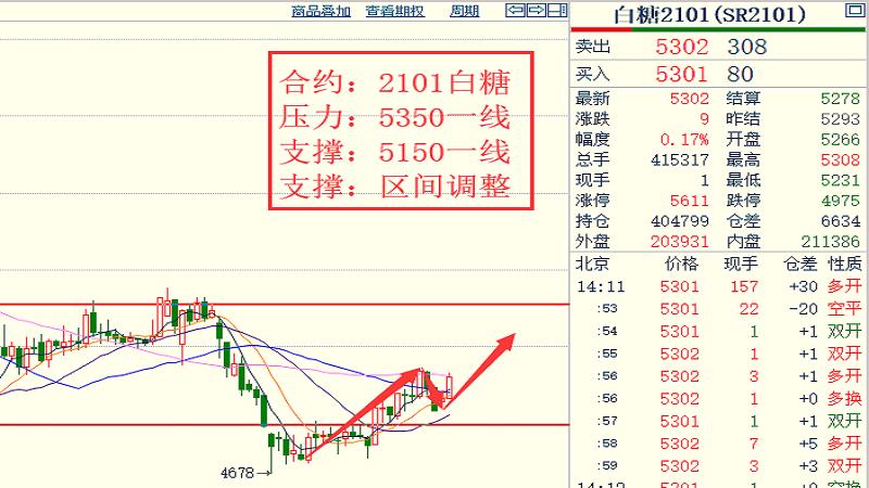 19各品种大行情走势揣摩