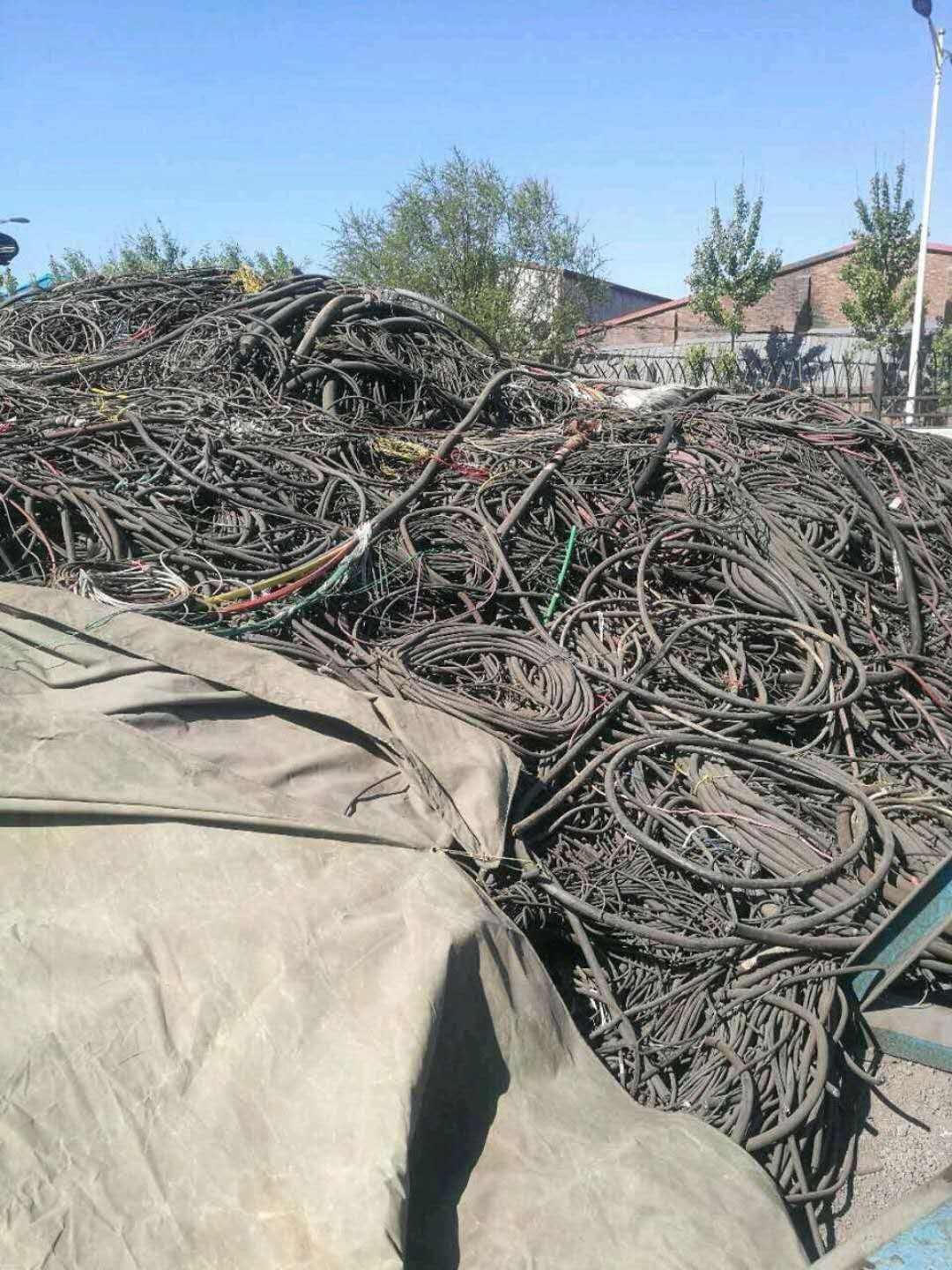 Žϵ߻ջǱ